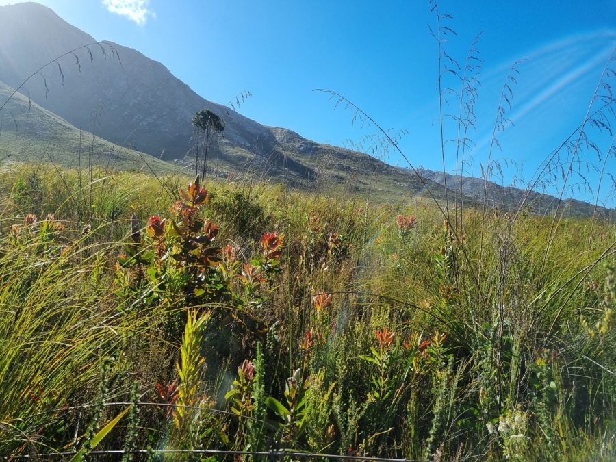 0 Bedroom Property for Sale in Joubertina Eastern Cape